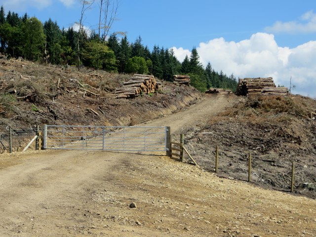 Logging on the Bleasdale Estate
