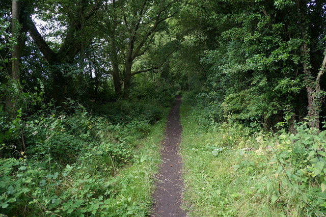 Grimston Wood, York (YO19 5LT) - area information, map, walks and more