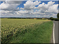 Wheat field by Finchingfield Road