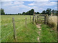 Footpath in Osterley Park