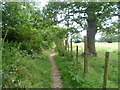 Footpath along the edge of Osterley Park