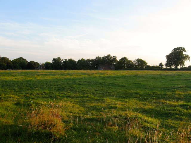 Wanborough Field (2)