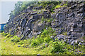 Salthill Quarry now a nature reserve