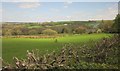 Countryside at South Dibberford