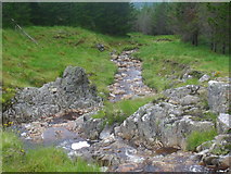 NN4248 : Rocks in the course of Caochan an Eich Bhuidhe in Barracks Wood, Rannoch by ian shiell