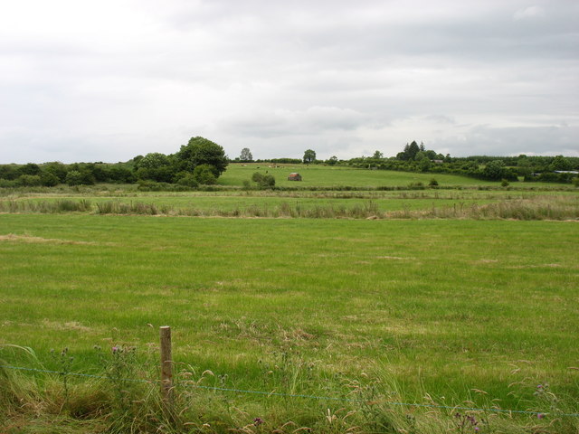 Farmland north of Moyne
