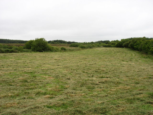 Farmland near Cloonfad