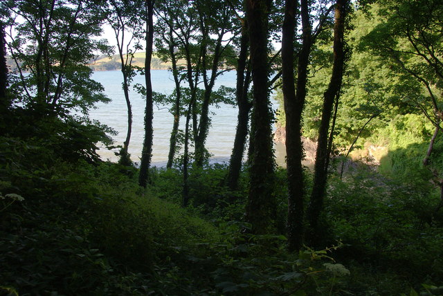 Woodland above Ponsence Cove