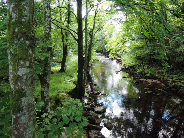 The Teign: looking upstream