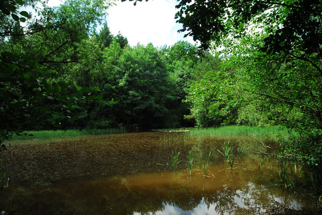 Pond in Queen's Wood © John Winder :: Geograph Britain and Ireland