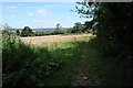 Footpath above Backwell