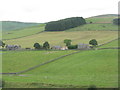 Houses above Blackhaugh