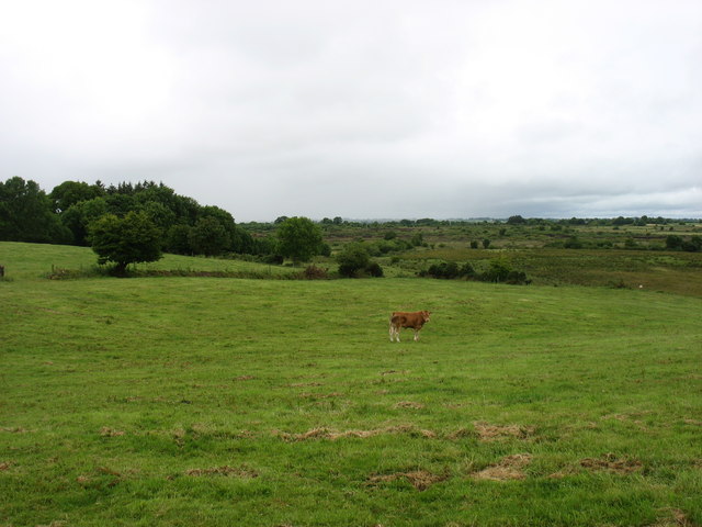 Farmland near Carrowmore