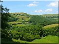 Cwm Afon Leri / Afon Leri Valley