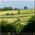 Fields west of Much Wenlock