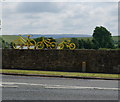 Yellow bikes at Gargrave