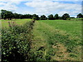 Footpath Leading away from Calverley Road