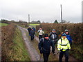 Llwybr Llanddarog / Llanddarog Path