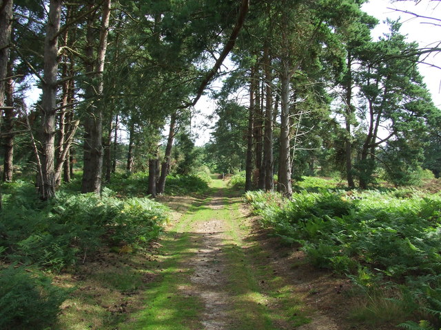 Sandlings Walk © Keith Evans :: Geograph Britain and Ireland