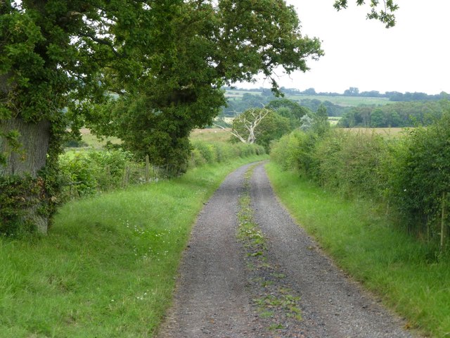 Track to Smalldene Farm