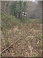 Course of disused railway between Llangeinor and Tylagwyn