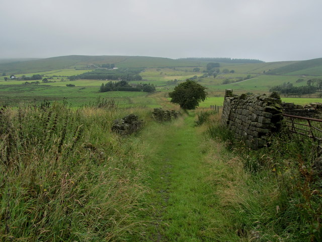 Pendle Way behind Tinedale Farm
