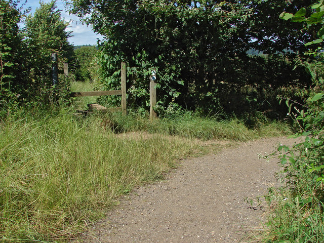 Footpath junction near Chinthurst Hill