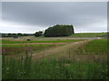 Farmland near Newton House