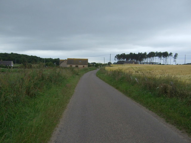 Approaching Longhillock on National Cycle Route 1 