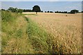 Bridleway near Bank Farm