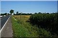 Footpath leading to Cottage Plantation