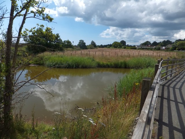 Pond by NCN2 near Cockwood