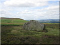 SE1346 : Large boulder, Ilkley Moor by John Slater