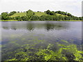 Mill Lough