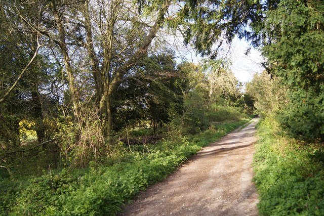 Heading east along The Harrow Way © Mr Ignavy :: Geograph Britain and ...