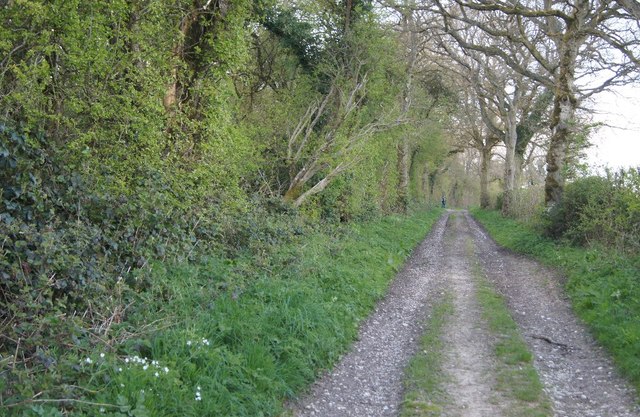 Byway towards Whitnal