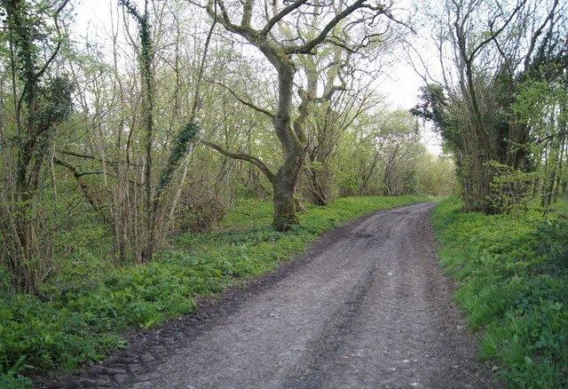 Byway to Twinley Lane