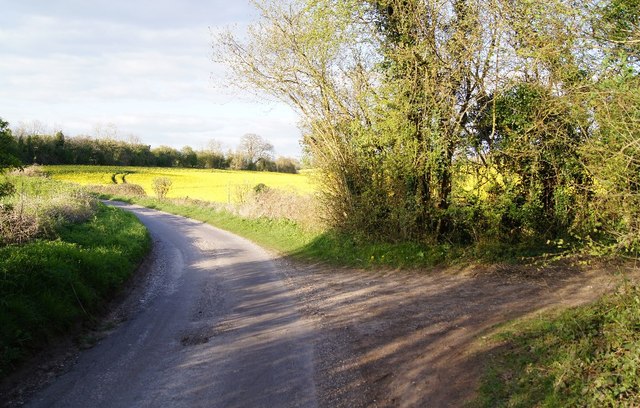 Curves in Twinley Lane