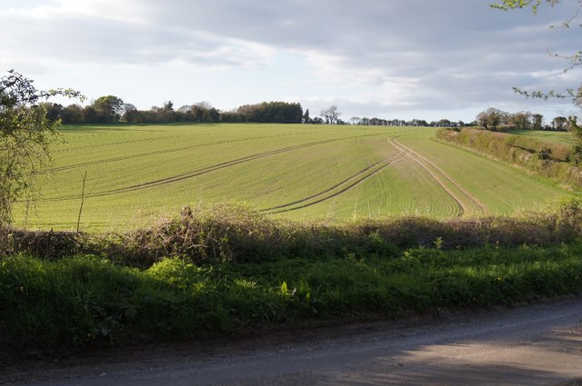 Fields west of Watch Lane