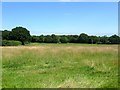 Old House Field/Sour Field