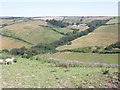 Fields above Longlands Farm