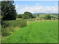 Burnley Way above Hunters Oak