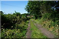 Brockfield Lane towards Stockton on the Forest