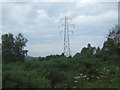 Woodland and pylon, Drummossie Muir