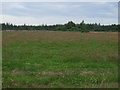 Farmland towards Culloden Forest