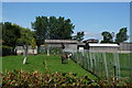 Donkeys at Oaklands Farm, York