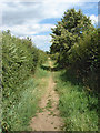 Footpath near Shalford