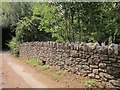 Bridge parapet near Coombe