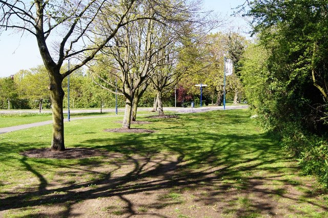 Green space - Surrey University campus