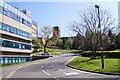 SU9850 : Green space - Surrey University campus by Mr Ignavy